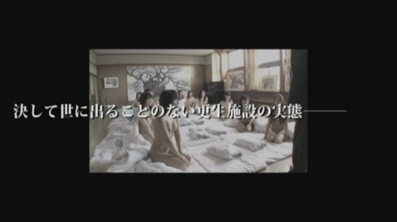13121204_12