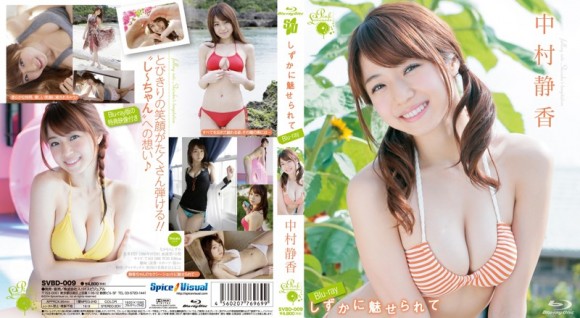 n_709svbd009pl